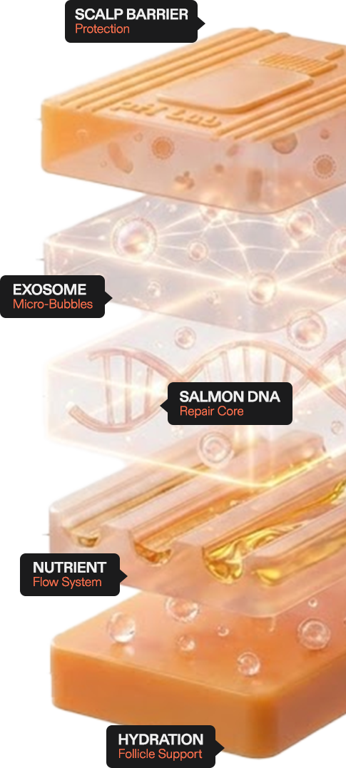 Shampoo Bar Ingredients